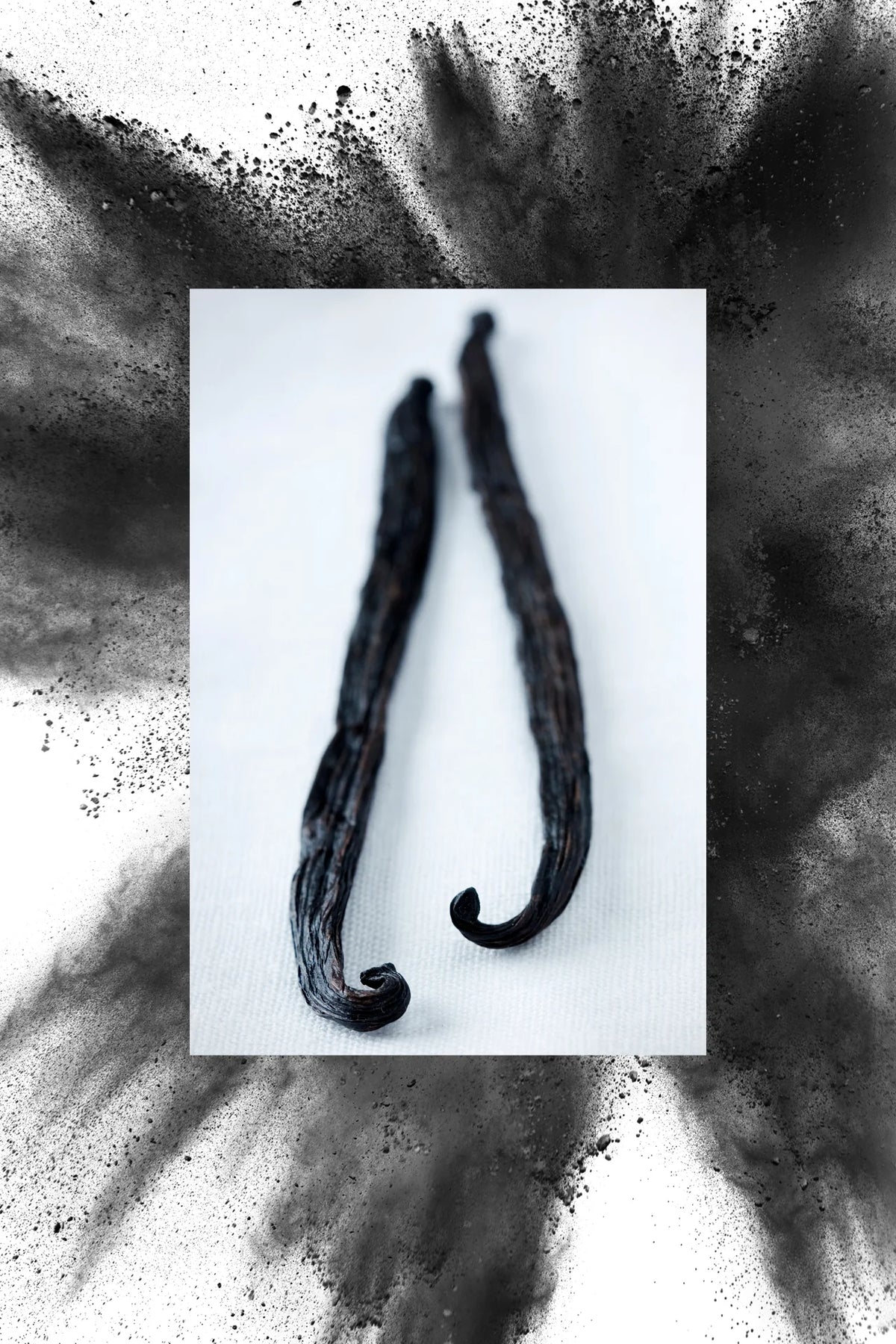 Deodorant | Vanilla Bean + Charcoal | 2.7 Oz